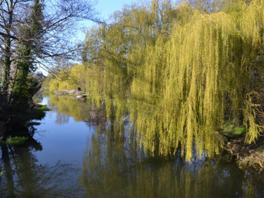 The Oak Rooms Coltishall 외부 사진
